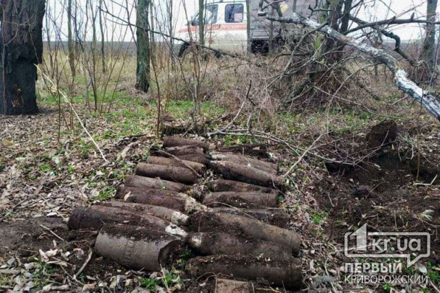 Мужчина обнаружил в лесополосе 28 боеприпасов