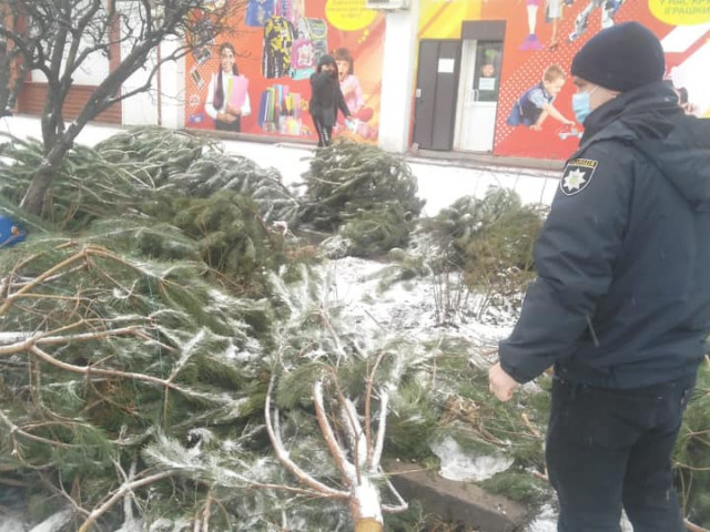 За незаконную продажу елок в Кривом Роге оштрафовали 26 человек