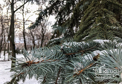 Фото к новости Главное фото новости