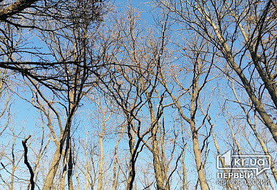 Фото к новости Главное фото новости