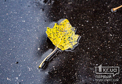 Фото к новости Главное фото новости