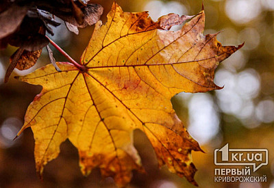 Фото к новости Главное фото новости