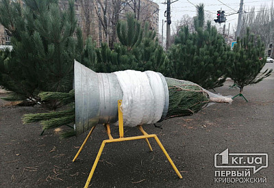 Фото к новости Главное фото новости