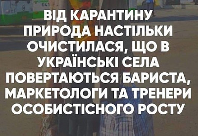 Главное фото новости