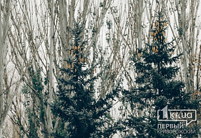 Фото к новости Главное фото новости