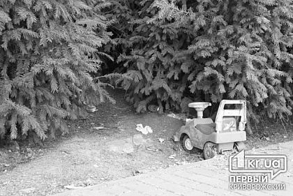 Криворожанку, которая пьянствовала и не следила за ребенком, лишат родительских прав