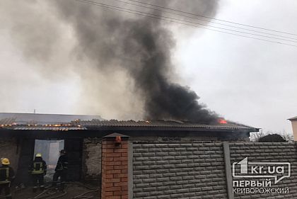В Кривом Роге пылает мебельный цех