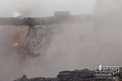 Под Кривым Рогом во дворе частного дома сгорела летняя кухня