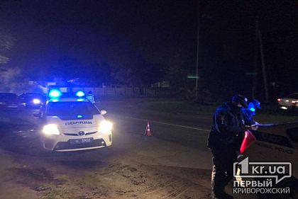 Фура сбила мужчину на трассе под Кривым Рогом