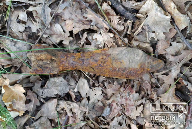 В Широковском районе в карьере обнаружили мину