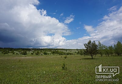 Фото к новости Главное фото новости