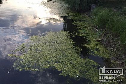 В водоеме возле криворожского ботсада обнаружили труп мужчины