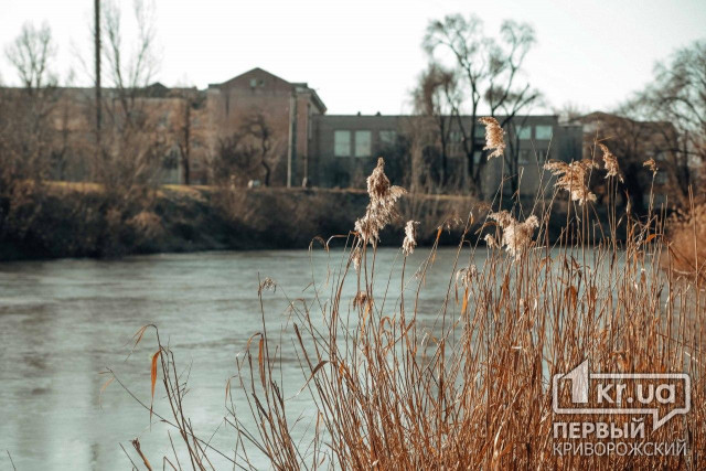 Качество воды в криворожской реке Саксагань не соответствует норме, - чиновники