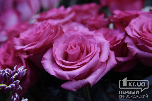 Сколько стоит букет цветов на 14 февраля в Кривом Роге
