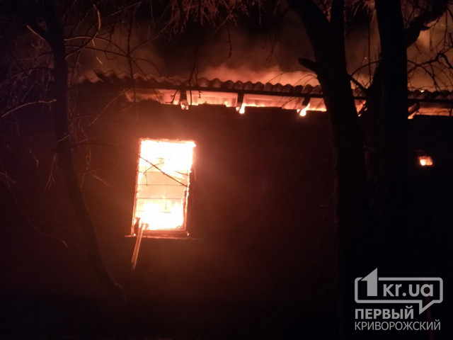 Масштабный пожар: ночью в Кривом Роге пылал склад лесоматериалов