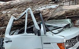 В Кривом Роге тополь упал на Mercedes