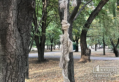 Фото к новости Главное фото новости