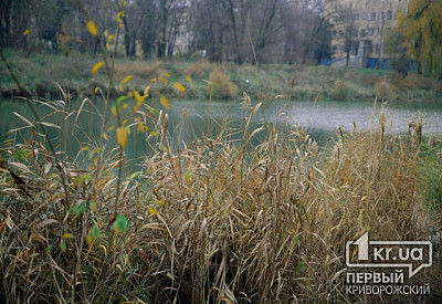 Фото к новости Главное фото новости