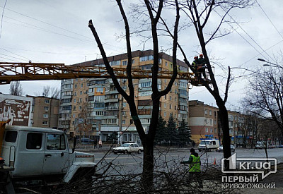 Фото к новости Главное фото новости
