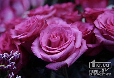 Фото к новости Главное фото новости