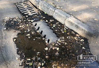 Фото к новости Главное фото новости