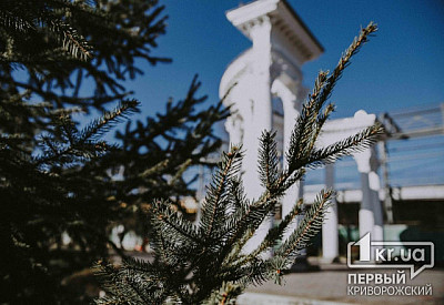 Фото к новости Главное фото новости