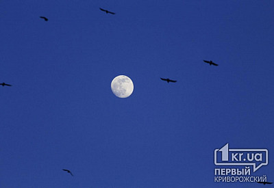 Фото к новости Главное фото новости
