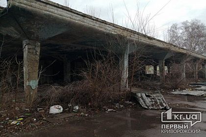 Заброшенное здание кинотеатра в Кривом Роге превратилось в притон и общественный туалет