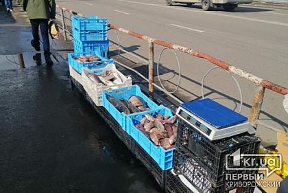 В Кривом Роге пресекли очередную незаконную торговлю рыбой «с рук»