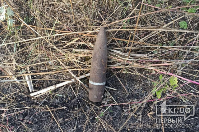 Возле дачного кооператива мужчина нашел снаряд