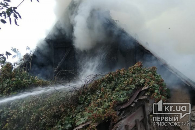 В Кривом Роге сгорел заброшенный дом