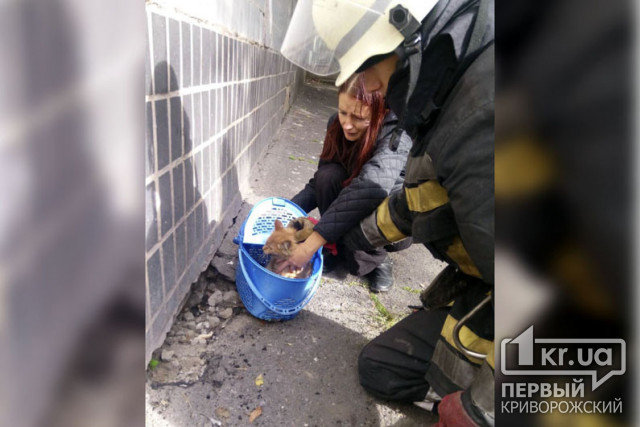 Криворожские пожарные спасли котенка, застрявшего в щели под многоэтажкой