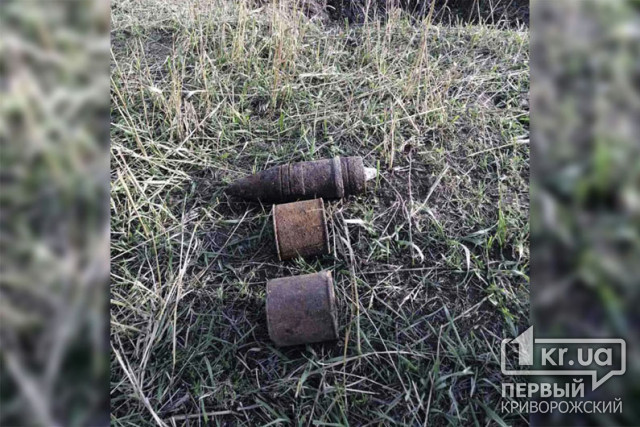 Собирая грибы и проводя поисковые работы, криворожане обнаружили боеприпасы