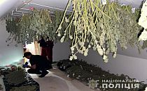 Фото новости