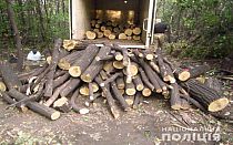 Фото новости
