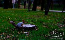 Фото новости