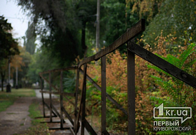 Фото к новости Главное фото новости