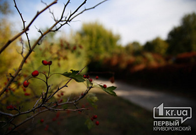 Фото к новости Главное фото новости