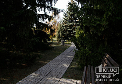 Фото к новости Главное фото новости