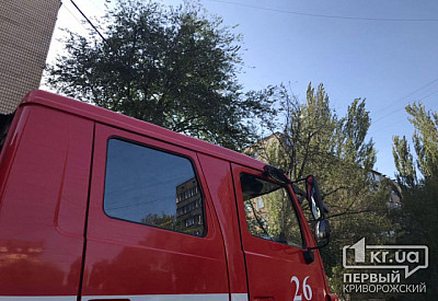 Фото к новости Главное фото новости