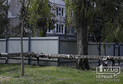Фото к новости Главное фото новости