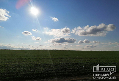 Фото к новости Главное фото новости