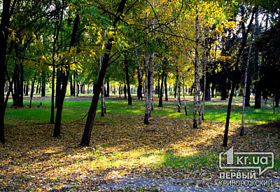 Фото к новости Главное фото новости