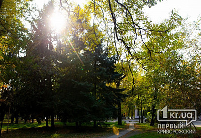 Фото к новости Главное фото новости