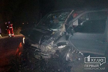 Пятеро человек пострадали в результате ДТП на трассе Кропивницкий - Кривой Рог - Запорожье
