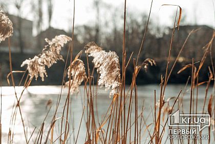 Мужчина, убивший собутыльника из-за ревности, проведет 9 лет в тюрьме в Кривом Роге