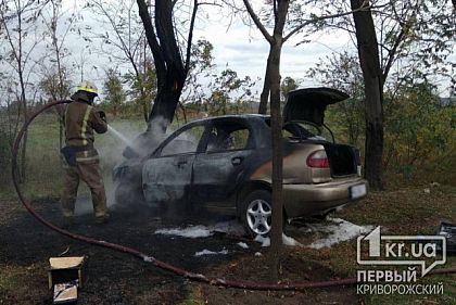 В Кривом Роге авто загорелось после ДТП