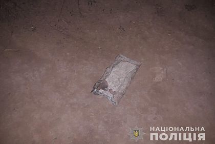 Ударил криворожанку кирпичом по голове и ограбил: полиция задержала злоумышленика