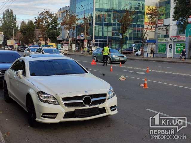 ДТП в центре Кривого Рога: мужчина попал под колеса Mercedes Benz