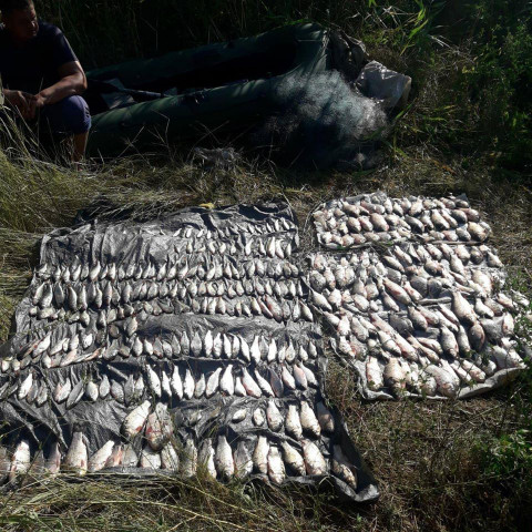У криворожанина изъяли 30 кило рыбы, выловленной в Саксагани